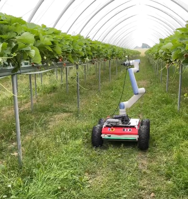 MiFood Robot